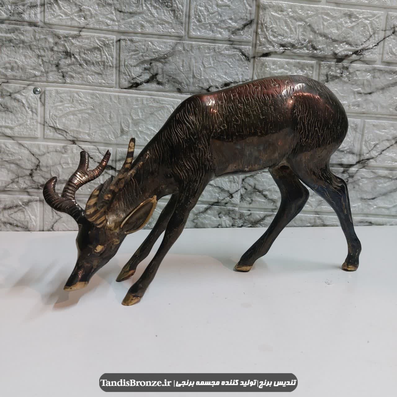 مجسمه گوزن علف خوار برنجی قلم خورده